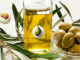 فواید روغن زیتون برای سلامت بدن