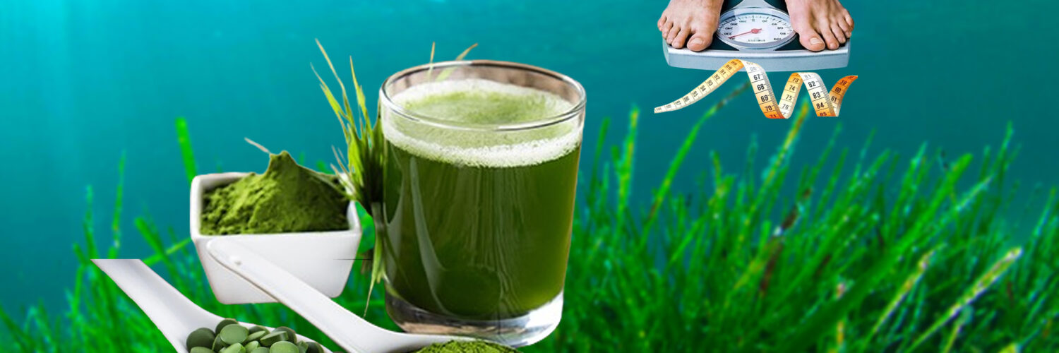 اسپیرولینا مکملی طبیعی مقابله با سندرم متابولیک