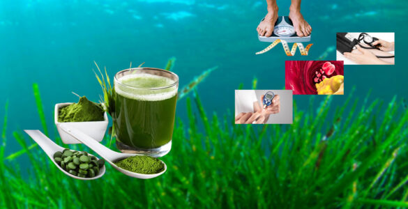 اسپیرولینا مکمل طبیعی مقابله با سندرم متابولیک